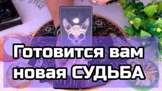 ⁉️Что хочет передать для вас Вселенная...🔮Ананке таро
