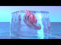 Netsky, David Guetta - Ice Cold (Audio)