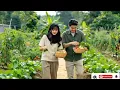 GUBUK DERITA || Hamdan ATTDANGDUT LAWAS PALING HITS #cover