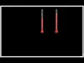 My Dual Thermometer