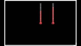 My Dual Thermometer
