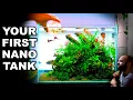 Download Lagu How To Make An Easy Yet Beautiful Nano Aquarium