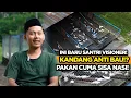 Lagu Modal Limbah Nasi Bisa Jadi cuan! Santri Ini Sukses Ternak Entok Jumbo Harga Sampai 6 Juta