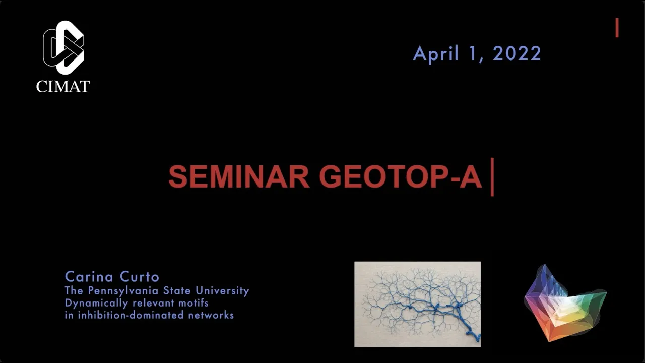 GEOTOP-A SEMINAR I Carina Curto I The Pennsylvania State University