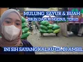 Lagu INI SIH SAYANG KALAU GA DI AMBIL 😱😭🧐🧐