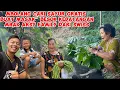 Download Lagu MBOLANG CARI SAYUR GRATIS BUAT MASAK\