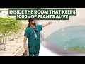 How 3 People Keep Thousands of Plants Alive Every Day