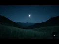 🌾 Quiet Mountain Valley at Night | Crickets & Night Sounds for Deep Sleep & Relaxation
