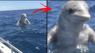 ISSO ESSE VÍDEO É TÃO ASSUSTADOR QUE VAI TIRAR SEU SONO! VÍDEOS EXTREMAMENTE BIZARROS E SINISTRO