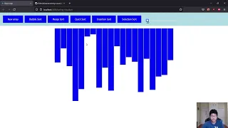 Project Overview Sorting Algorithm Visualizer