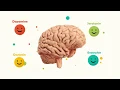Download Lagu Happy Brain Chemicals: dopamine, serotonin, oxytocin, endorphin