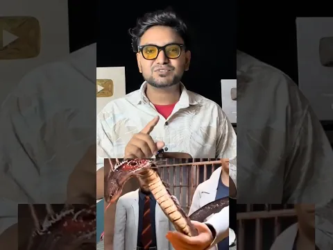 Mind Killed Him, Not Snake 🧠