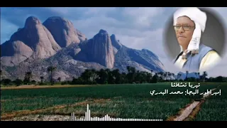 إمبراطور البجا محمد البدري تيربا تمثلاثا أغاني سودانية لغة البجاويت تراث البجا 