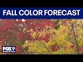 Minnesota DNR shares 2025 fall color forecast RAW