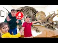 Maddie and Kaden s Dinosaur Museum Adventure