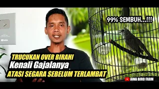 trucukan over birahi 99 sembuh dengan teknik ini 