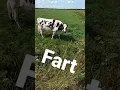 Download Lagu Fart Sounds Music