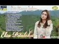 Lagu ELSA PITALOKA FULL ALBUM TERBARU 2020 | PADIAH DILUKOI | CINTO SABATEH MIMPI