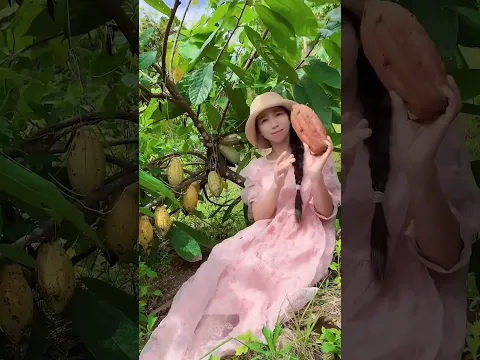 Enjoy beautiful nature with rural life 417# MP Fresh #fruit #countrylife #farming #garden