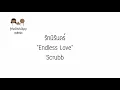 English lyrics for Thai song "รักนิรันดร์" Scrubb (Lyric Video by VoBrain แปลเพลง)