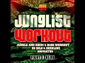Junglist (Original Mix - Mixed)