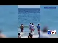 Beachgoers try and save stranded dolphin