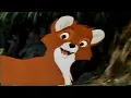 Download Lagu The Fox And The Hound: Tod VS. Copper (1981) (VHS Capture)
