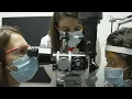 KU Ophthalmology Residency Program at the University of Kansas Medical Center