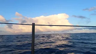 Relaxing Ocean Views and Ambiance
