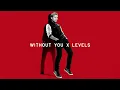 Avicii & David Guetta - Without You x Levels (Enseven Mashup) 
