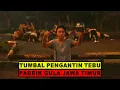 Download Lagu DALBOH ‼️ PENUNGGU PABRIK GULA JAWA TIMUR