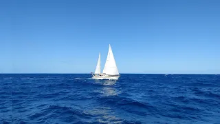 Sailing Aquarius