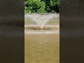 Lake Sequoia sediment on fountain base