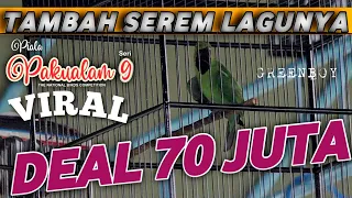 Download DEAL❗CUCAK IJO GREENBOY SERAH TERIMA DIPAKU ALAM JOGJA LANGSUNG JUARA,KERJA STABIL||KICAUMANIA MP3