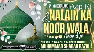 marhaba ya mustafa aapki nalain ka u0026 noor wala aaya hai muhammedshadabrazvi