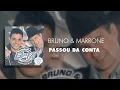 Bruno & Marrone - Passou da Conta (Áudio Oficial)