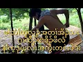 Download Lagu တၢ်အိၣ်သးညၣ်မုၢ်ထီၣ်ကရ့ကရ့လံ, ဒီးကၣ်သၣ်ကဲထီၣ်လၢဒီ