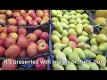 Robot Machine Learning Supervised vs Unsupervised Fruit Recognition