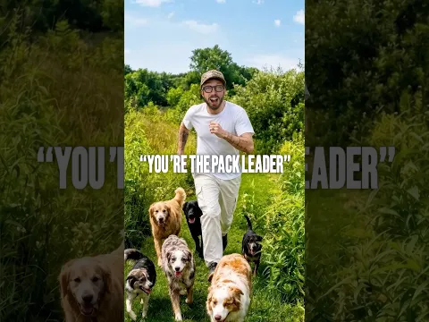 I Worked As A Dog Walker! (50 Jobs in 50 States)