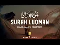 Download Lagu Heart melting recitation of Surah Luqman -  سورة لقمان | Zikrullah TV