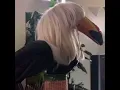 Stan Twitter Toucan with platinum blonde wig standing while Bed plays