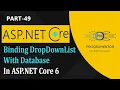 49 Binding DropDownList With Database In ASP NET Core 6 Populate DropDown With SQL