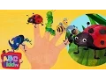 Download Lagu Finger Family (Insects Version) | CoComelon Nursery Rhymes \u0026 Kids Songs