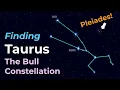 Taurus the Bull - Constellation of the Zodiac