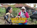 Download Lagu SALAH GENAH‼️VOC. DEVI MANUAL || ANGGA PUTRA LIVE SHOW KEDUNGDAWA RT 02