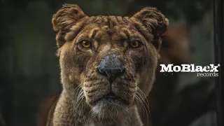 mulya marvin original mix 