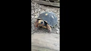 Sailing Anchorage in St Barth’s