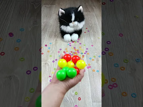 Cat Beads ⭕ Balls 🌈 Reverse video #asatisfyingvideofamily #cat #reverse