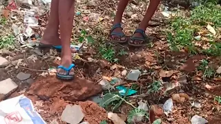 hard work