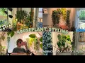 my fave ways to style houseplants cozy indoor jungle vibes